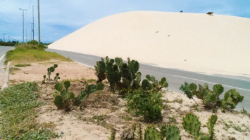 Rajadas de ventos intensos podem mover dunas no Ceará; confira as cidades afetadas