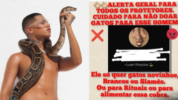 Modelo denuncia fake news de que adotava gatos para alimentar cobra usada em ensaio fotográfico