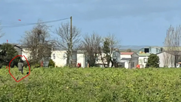 A foto que pode abrir novo capítulo nas buscas por brasileira desaparecida na Inglaterra