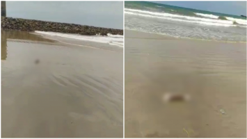 Banhistas encontram partes de corpo humano em praia de Fortaleza 