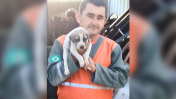 Homem é preso por matar vigilante de escola com barra de ferro após subtrair materiais de obra
