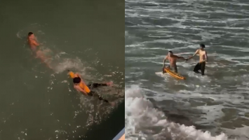 Dono de barraca salva três jovens de afogamento após trio pular da Ponte dos Ingleses; veja vídeo