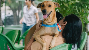 'Parada Pet' oferece serviços veterinários gratuitos no bairro Messejana, em Fortaleza 