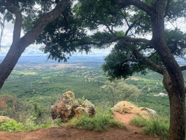 80 anos da Floresta do Araripe: Conheça trilhas que fazem parte da primeira floresta nacional do Brasil