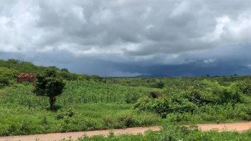 Instituto emite alerta de chuvas intensas para cidades do Ceará; veja lista