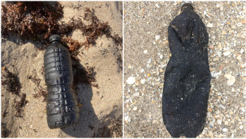 Óleo derramado no Nordeste em 2019 viajou mais de 8 mil quilômetros e chegou à Flórida, diz pesquisa 